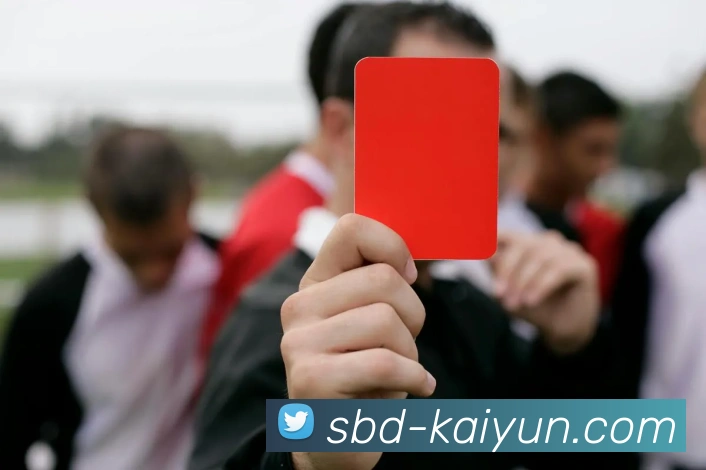 开云APP 高清赛事图